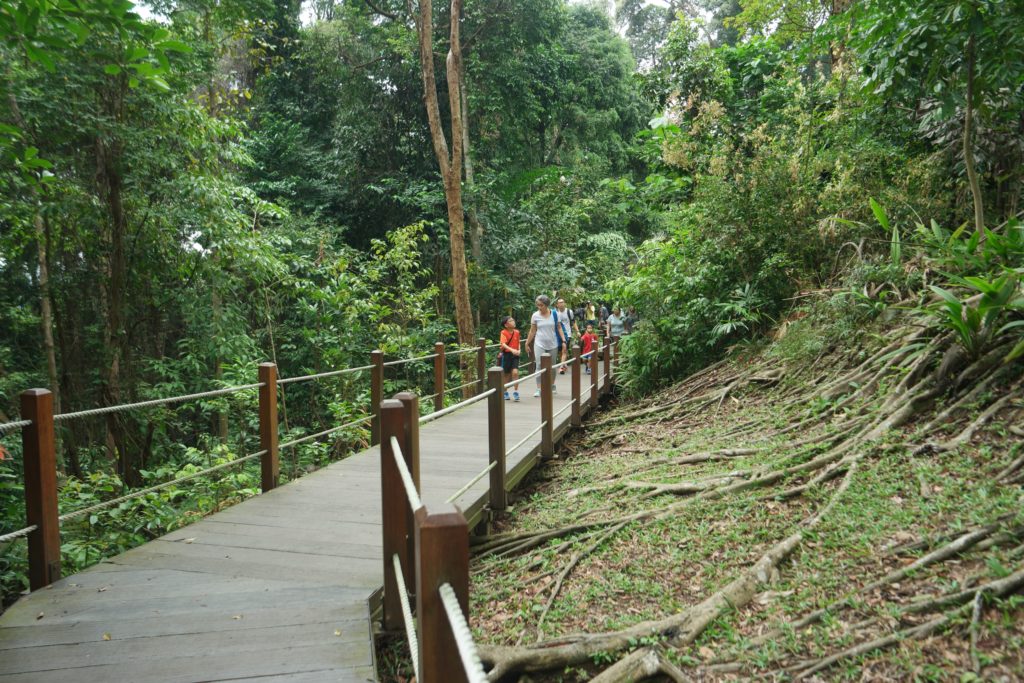 Bukit timah natur reserve