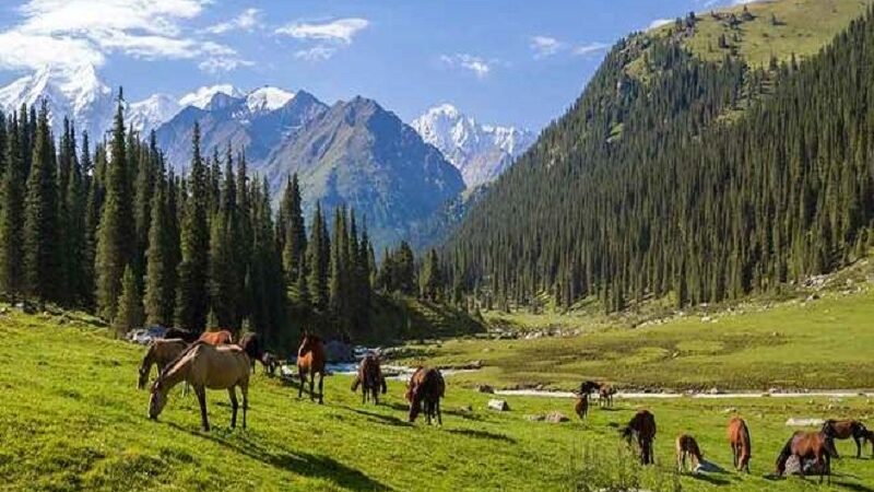 Top 5 Sights to Visit in Kyrgyzstan