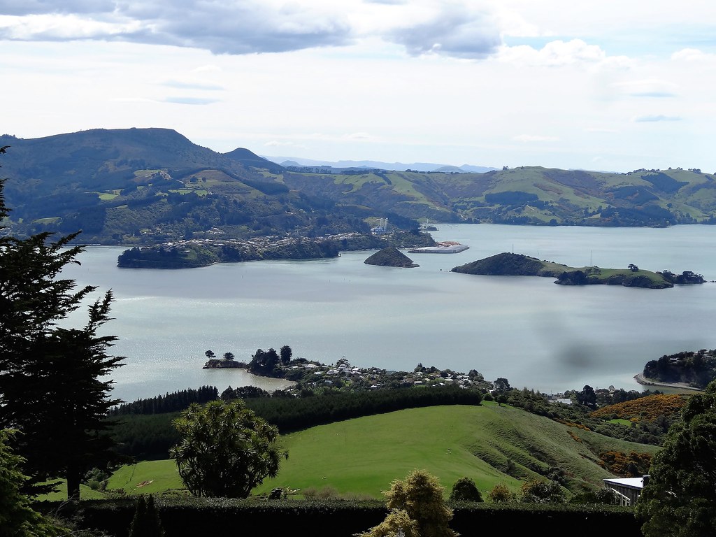 Otago Peninsula 1